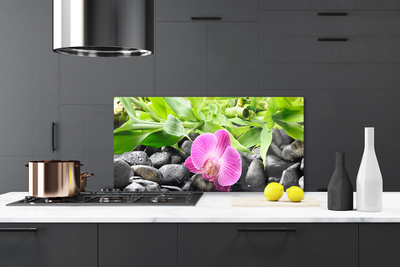 Kitchen Splashback Flower leaves stones art pink green black