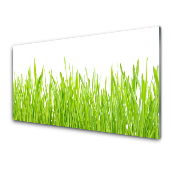 Kitchen Splashback Grass nature green