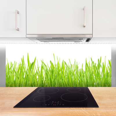 Kitchen Splashback Grass nature green