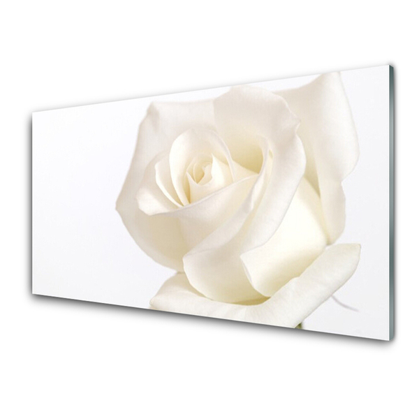 Kitchen Splashback Rose floral white