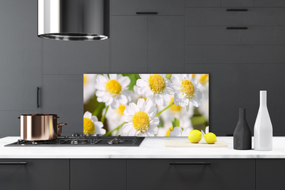 Kitchen Splashback Daisy floral yellow white