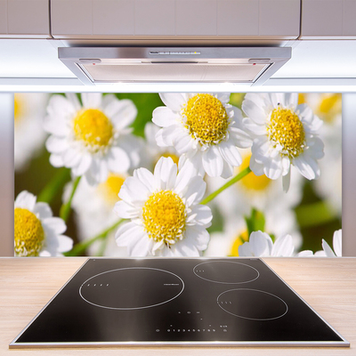 Kitchen Splashback Daisy floral yellow white