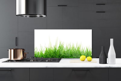 Kitchen Splashback Grass nature green