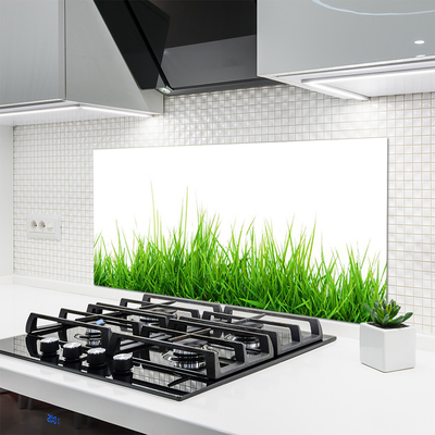 Kitchen Splashback Grass nature green