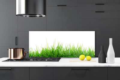 Kitchen Splashback Grass nature green