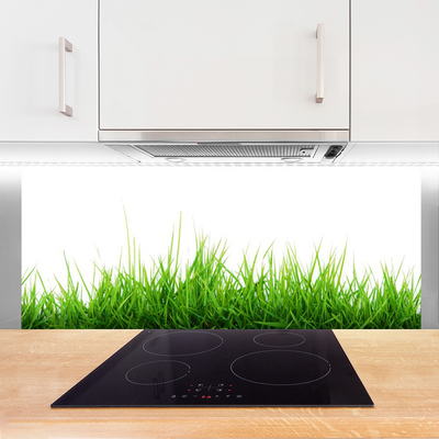 Kitchen Splashback Grass nature green