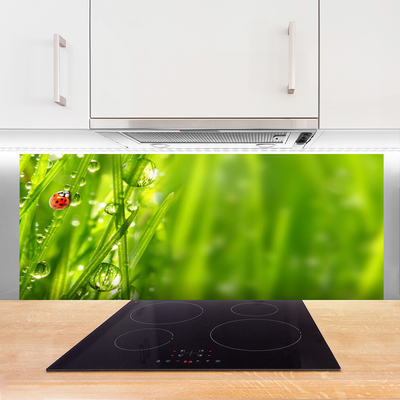 Kitchen Splashback Grass ladybug nature grey red black