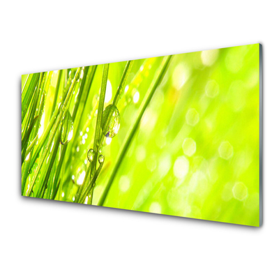 Kitchen Splashback Weed nature green