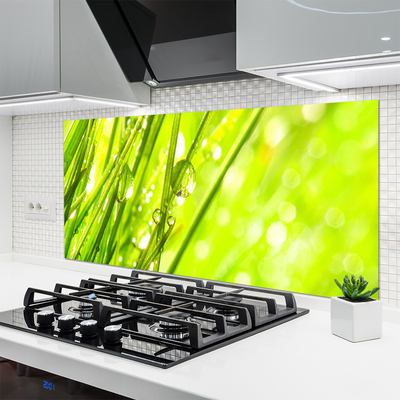 Kitchen Splashback Weed nature green