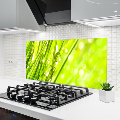 Kitchen Splashback Weed nature green