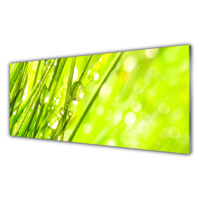 Kitchen Splashback Weed nature green