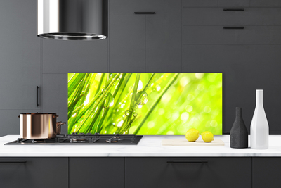 Kitchen Splashback Weed nature green