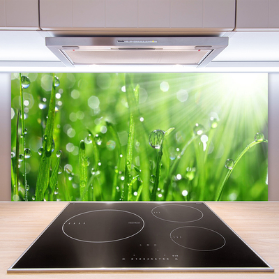 Kitchen Splashback Grass nature green