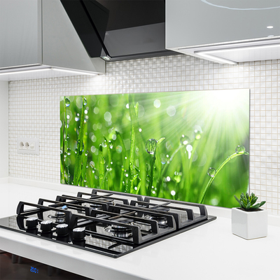 Kitchen Splashback Grass nature green