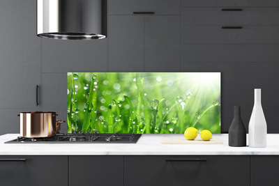 Kitchen Splashback Grass nature green