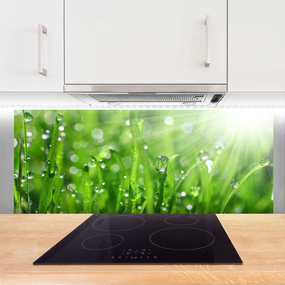 Kitchen Splashback Grass nature green