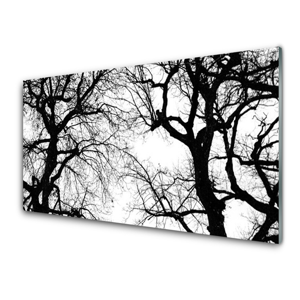 Kitchen Splashback Trees nature black