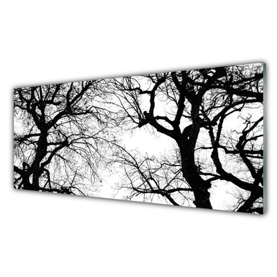 Kitchen Splashback Trees nature black