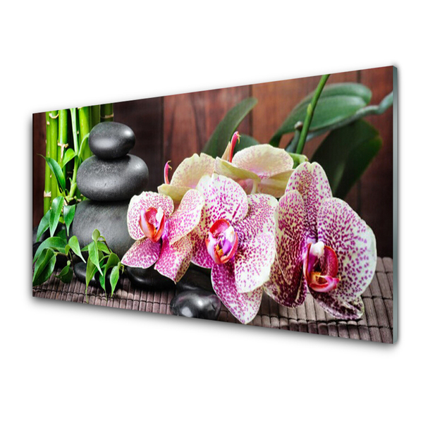 Kitchen Splashback Bamboo stones flowers floral green grey pink