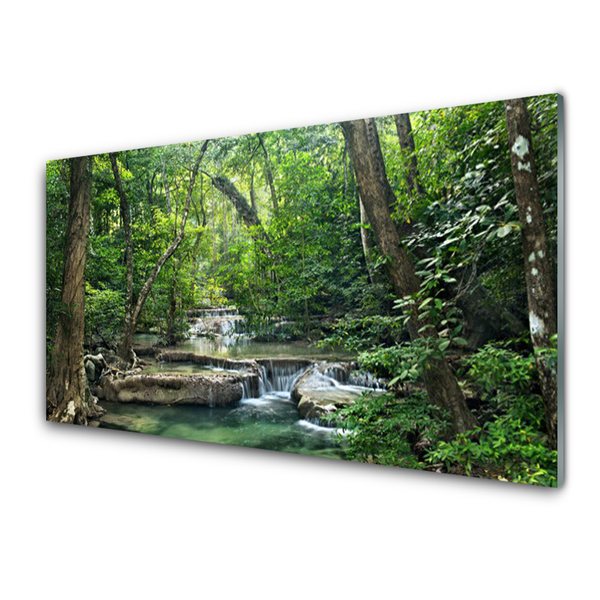 Kitchen Splashback Forest nature brown green