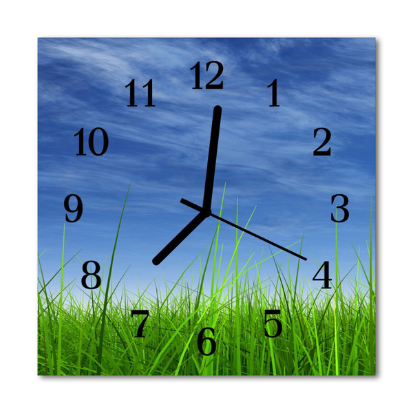 Glass Kitchen Clock Grass nature blue, green