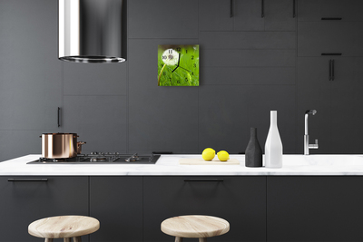 Glass Kitchen Clock Dandelion flowers & plants green