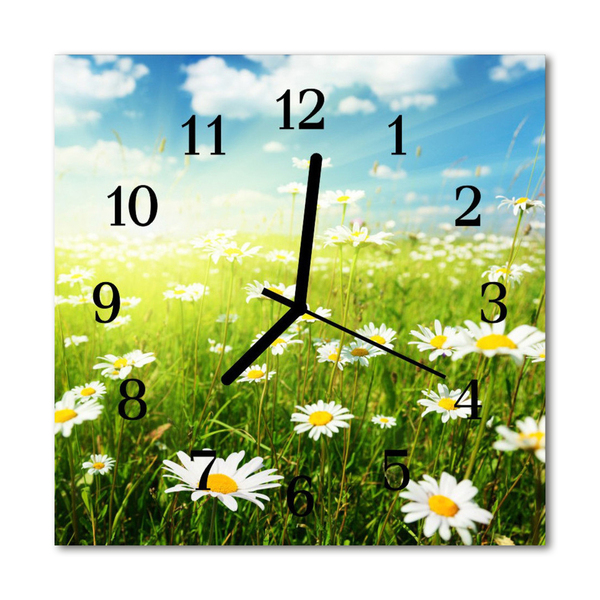 Glass Kitchen Clock Daisies flowers & plants green