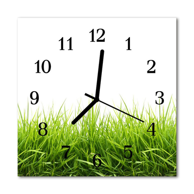 Glass Kitchen Clock Grass flowers & plants green