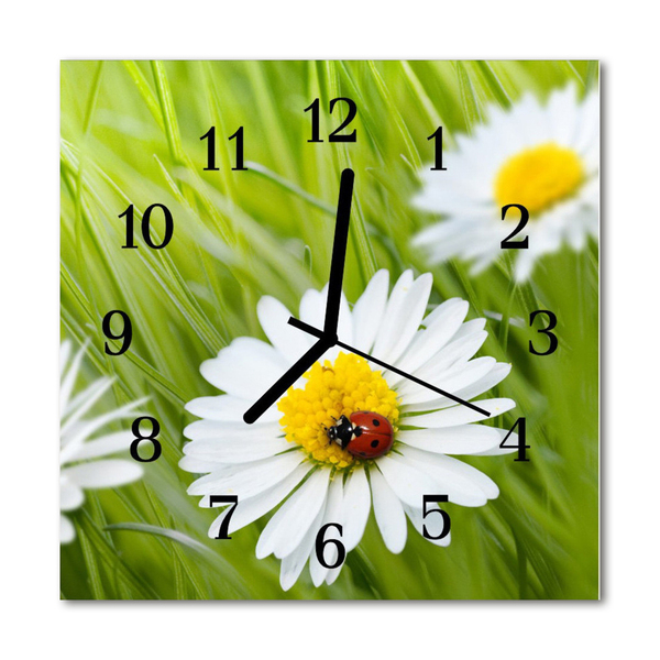 Glass Kitchen Clock Daisies flowers & plants green, white