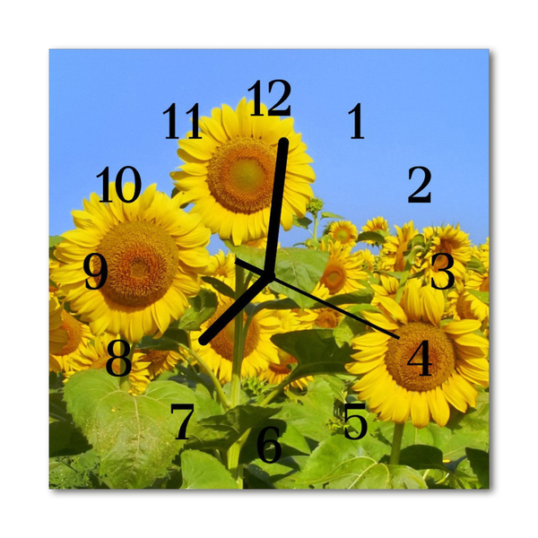 Glass Kitchen Clock Sunflowers flowers & plants yellow