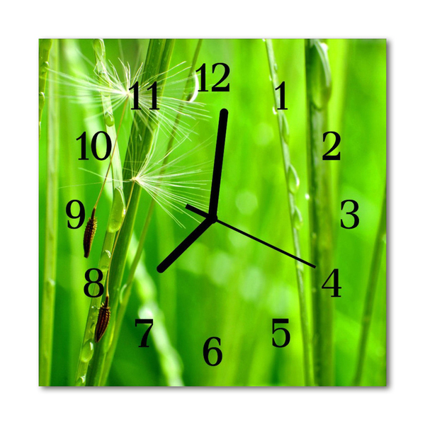 Glass Kitchen Clock Grass nature green