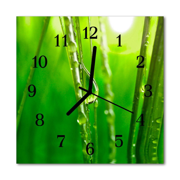 Glass Kitchen Clock Grass drops flowers & plants green