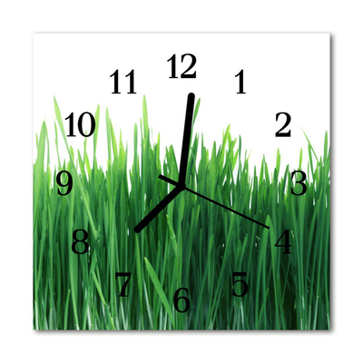 Glass Kitchen Clock Grass flowers & plants green