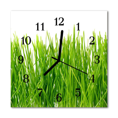 Glass Kitchen Clock Grass grass green