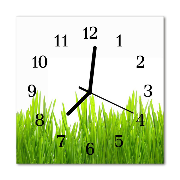 Glass Kitchen Clock Grass grass green