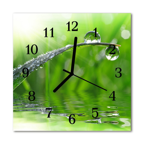 Glass Wall Clock Drop of dew nature dew green