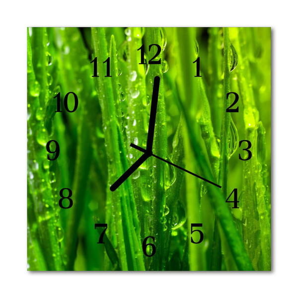 Glass Wall Clock Grass grass green