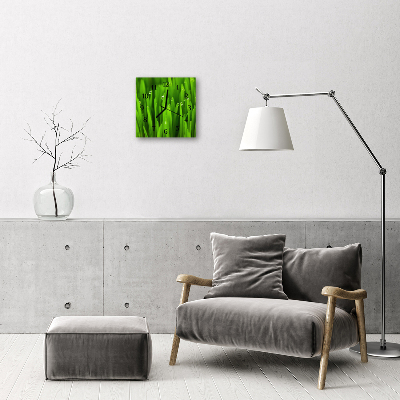 Glass Wall Clock Grass dew grass dew green