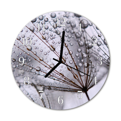 Glass Kitchen Clock Dandelion flowers & plants grey