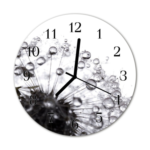 Glass Kitchen Clock Dandelion flowers & plants black & white