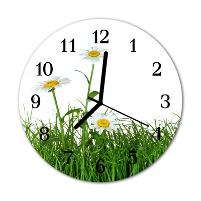 Glass Kitchen Clock Daisies flowers & plants green