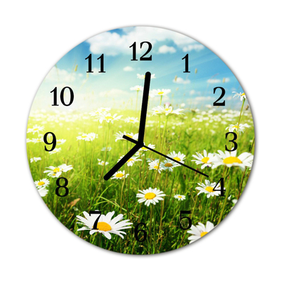 Glass Kitchen Clock Daisies flowers & plants green