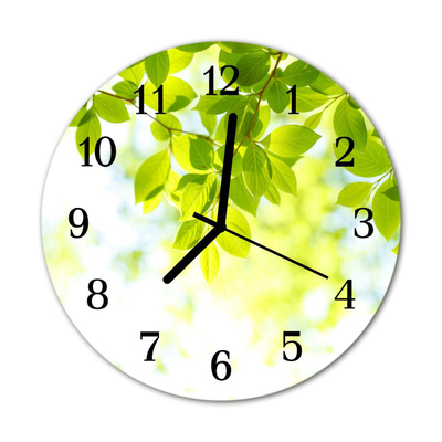 Glass Kitchen Clock Leaves flowers & plants green