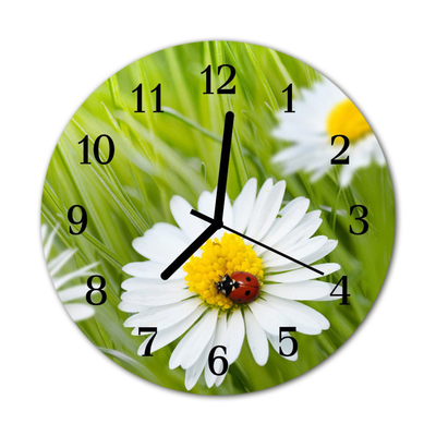 Glass Kitchen Clock Daisies flowers & plants green, white