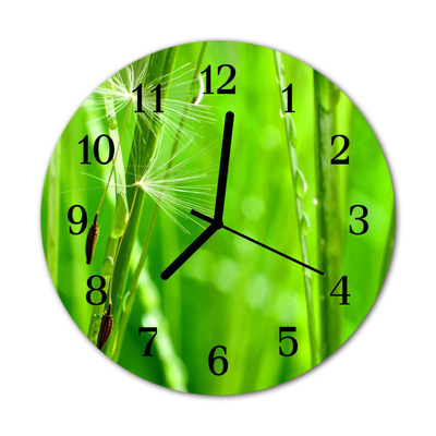 Glass Kitchen Clock Grass nature green