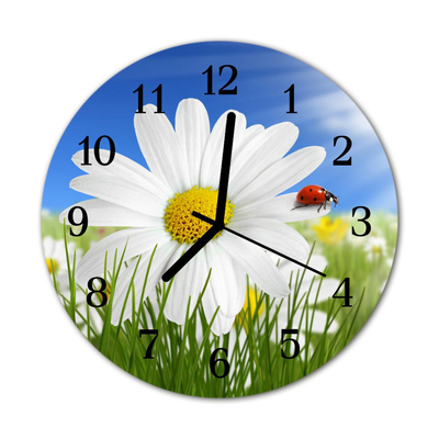 Glass Kitchen Clock Ladybug flower nature multi-coloured