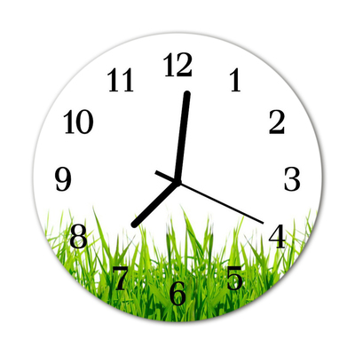 Glass Kitchen Clock Grass flowers & plants green