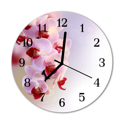 Glass Kitchen Clock Orchid flowers & plants pink