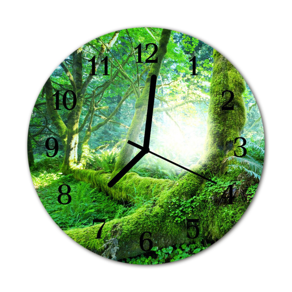 Glass Kitchen Clock Forest moss landscapes green