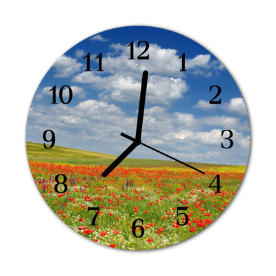 Glass Kitchen Clock Poppies field flowers & plants red, blue